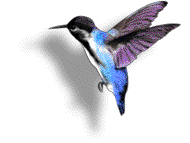 http://www.woofi.org/humming-bird-animation.gif
